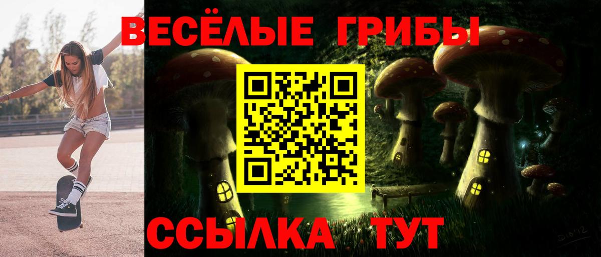 Архангельск  Псилоцибиновые грибы прущие грибы  Вход с VPN  Галлюциногенные грибы Psilocybine cubensis 