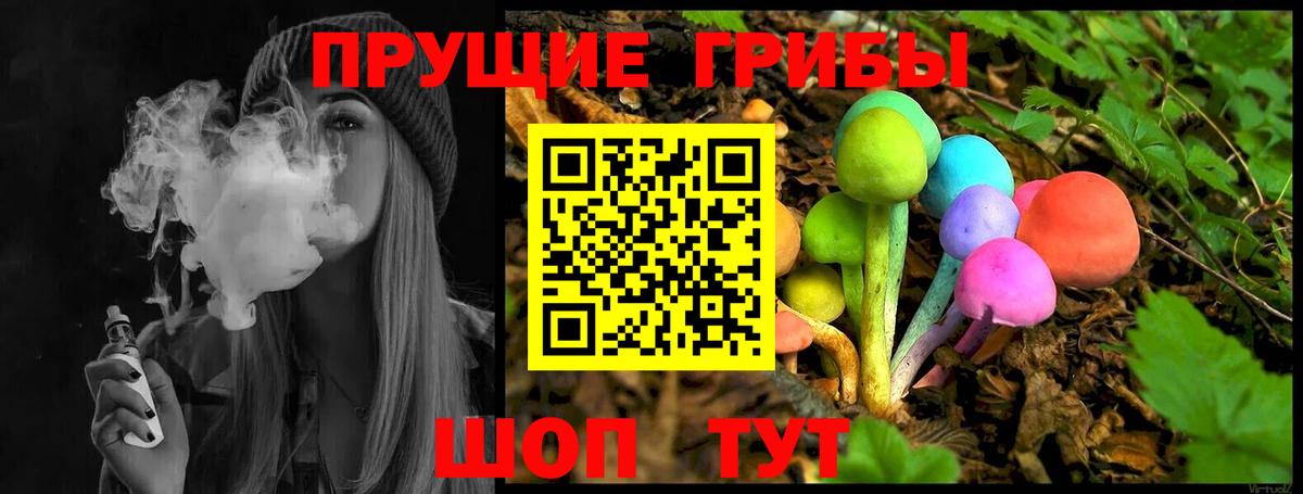 Псилоцибиновые грибы GOLDEN TEACHER Архангельск